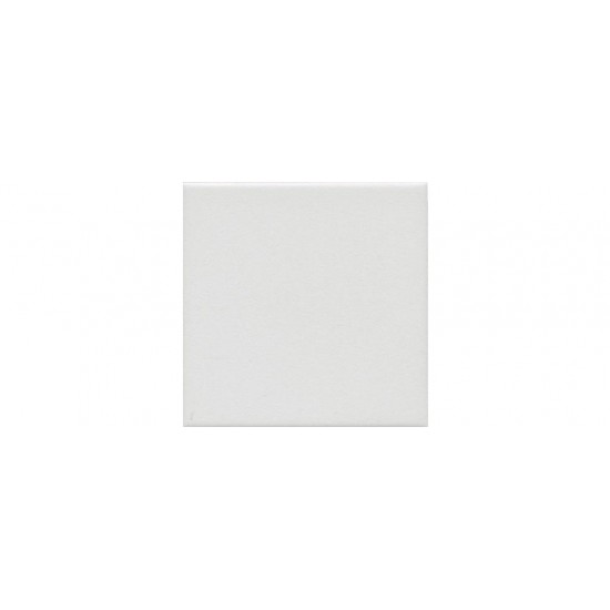 Керамический гранит АГУСТА 1332S 9,8х9,8 белый