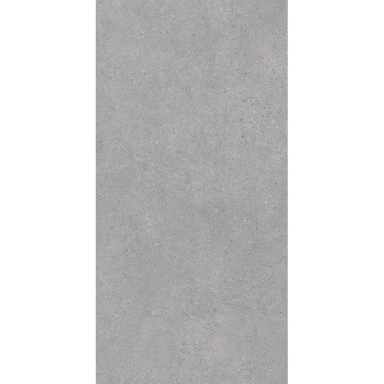 Керамический гранит ФОНДАМЕНТА DL590000R 119,5х238,5, серый светлый