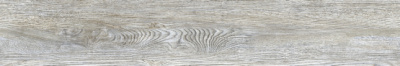 GRS12_23S_Arbel_Meranti