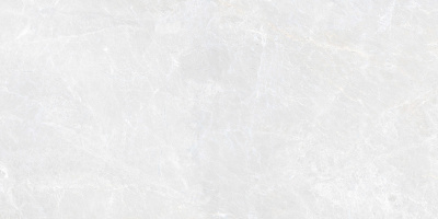 g311_600x1200_1