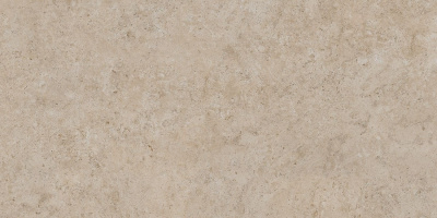 DD590500R
