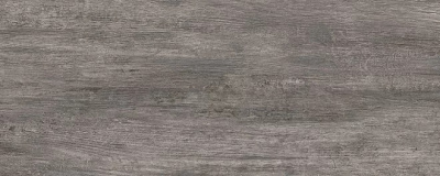 SG413120N