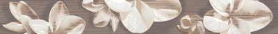 Amati_Plumeria_Alba_border