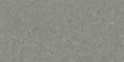 DD507920R_60х119,5_1_1