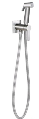 Smesitel_skrytogo_montazha_s_gigiyenicheskim_dushem_SMH06_SATIN