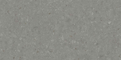DD591500R_119,5х238,5_1_25