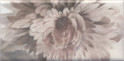 VB_A30_16076