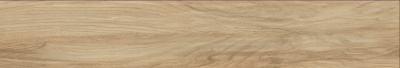 GRS13_03s_20x120_1