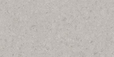 DD591200R_119,5х238,5_1_1