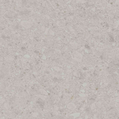 DD012400R_119,5х119,5_1_1