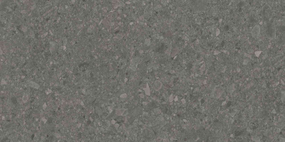 DD591600R_119,5х238,5_1_1