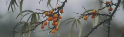 OS_A119_9016