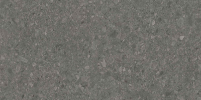 DD508020R_60х119,5_1_9