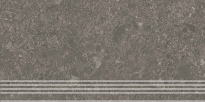 DD606320R_GR_30х60_1