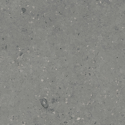 g213_600x600_1
