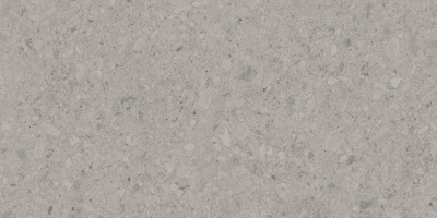 DD591400R_119,5х238,5_1_17