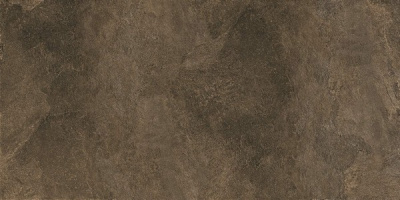 DD503920R