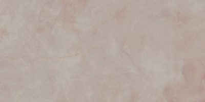 SG50006022R_60х119,5_16