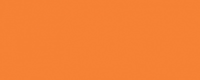 gorodskie zvety_orange