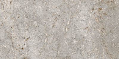 bardiglio_classic_60_120_1