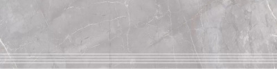 SG560720R_GR