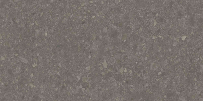 DD591700R_119,5х238,5_1_9