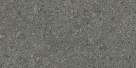 DD591600R_119,5х238,5_6_6