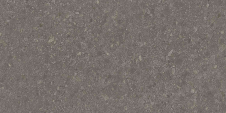 DD591700R_119,5х238,5_3_11