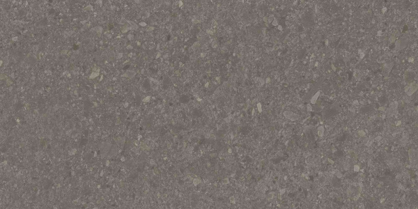 DD591700R_119,5х238,5_3_11
