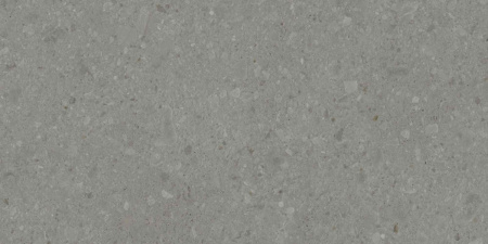 DD507920R_60х119,5_2_2