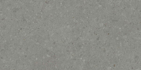 DD507920R_60х119,5_2_2