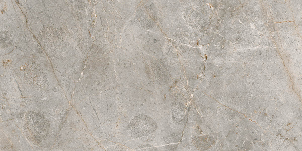 bardiglio_classic_60_120_5