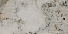 SG50005922R_60х119,5_2