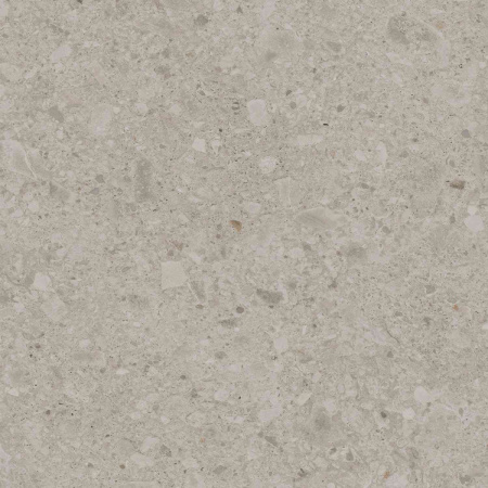 DD012500R_119,5х119,5_2_8