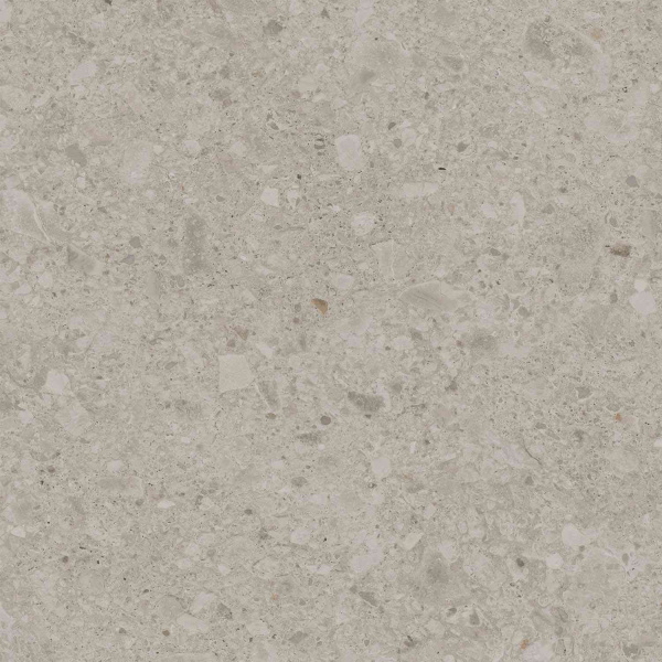 DD012500R_119,5х119,5_2_8