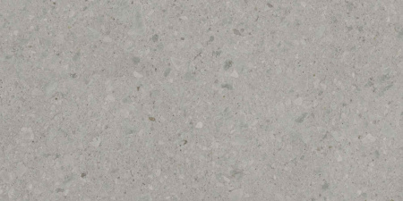 DD507820R_60х119,5_4_20