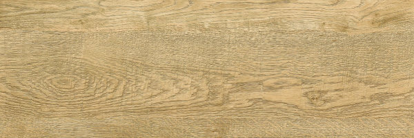 G_251_SR_200x600x8_9