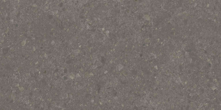 DD591700R_119,5х238,5_8_16