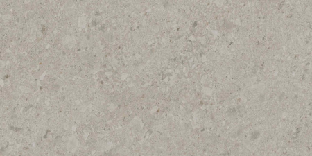 DD591300R_119,5х238,5_6_14
