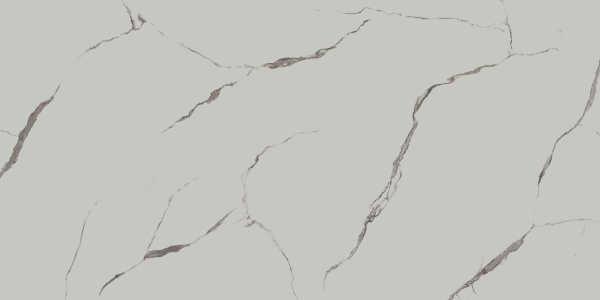 SG597702R_SG597700R_119,5х238,5_4_11