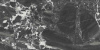 48007R_40х80_1