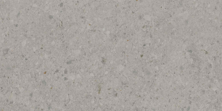 DD591400R_119,5х238,5_8_24