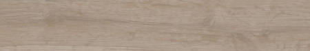SG351700R_9,6х60_11