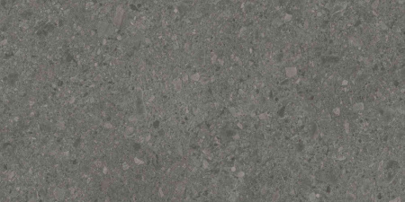 DD591600R_119,5х238,5_2_2