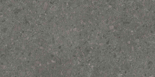 DD591600R_119,5х238,5_2_2