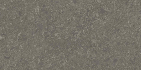 DD508120R_60х119,5_6_22