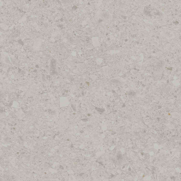 DD012400R_119,5х119,5_2_2