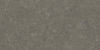 DD508120R_60х119,5_8_24