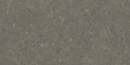 DD508120R_60х119,5_8_24