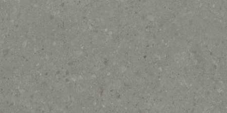 DD507920R_60х119,5_8_8